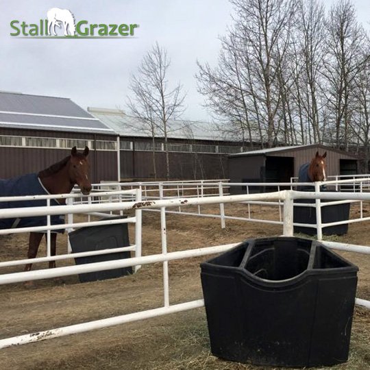 Pro Panel On Twitter Horses Love Our Feeders And So Do Owners By