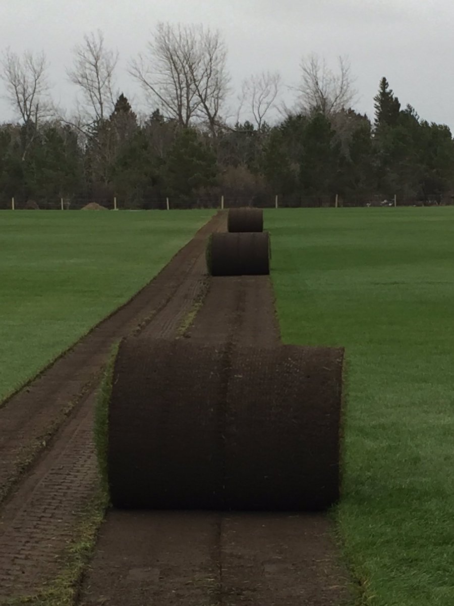 SaskSodGuy's tweet photo. Big Rolls for big jobs, over 1100 big rolls going to one project #Saskatchewan #Shellviewsodfarms #harvest16 https://t.co/HPCwQZULjg