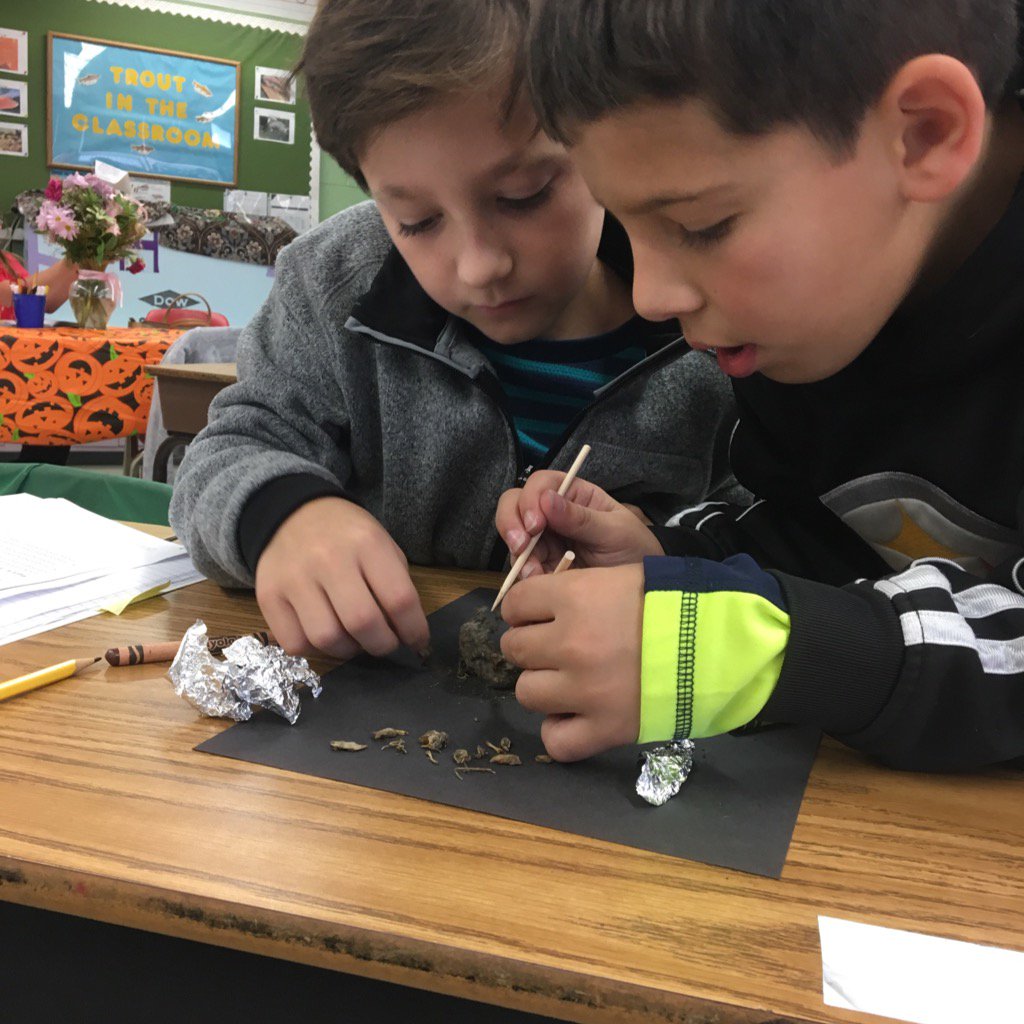 KCBOE's tweet photo. 3rd grade students at Overbrook Elementary delving into the FOSS Science curriculum! #KCSWV https://t.co/TJmSvcZmMx