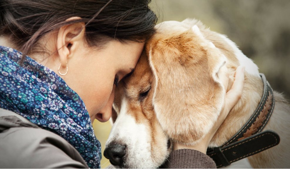 Chanel Sofie Se Si Commette Peccato Nell Amare Troppo Gli Animali Riconosco D Essere Un Gran Peccatore Sara Il Solo Peccato X Cui Nn Chiedero Il Perdono T Co Azloudakp4