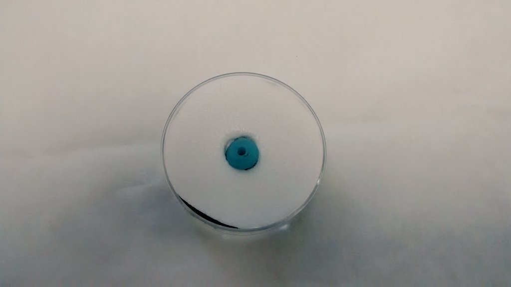 ErmineStreetDig's tweet photo. The only bead found in the 23 test pits dug. It is very cute though! On display at @collectionusher from 19th Nov. https://t.co/8b0d7Sqryp