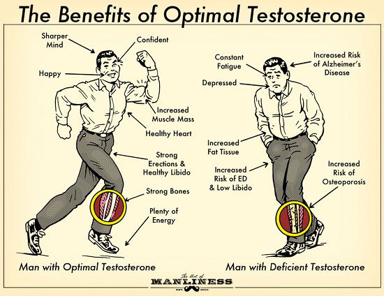 Testoterone is a hormone essential for not only libido and getting big and lean, but also a host of all other health benefits #Nutrisportuk