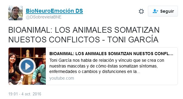 Los animales somatizan nuestros conflictos. Los conflictos con nuestros ancestros causan enfermedades en nuestras mascotas.