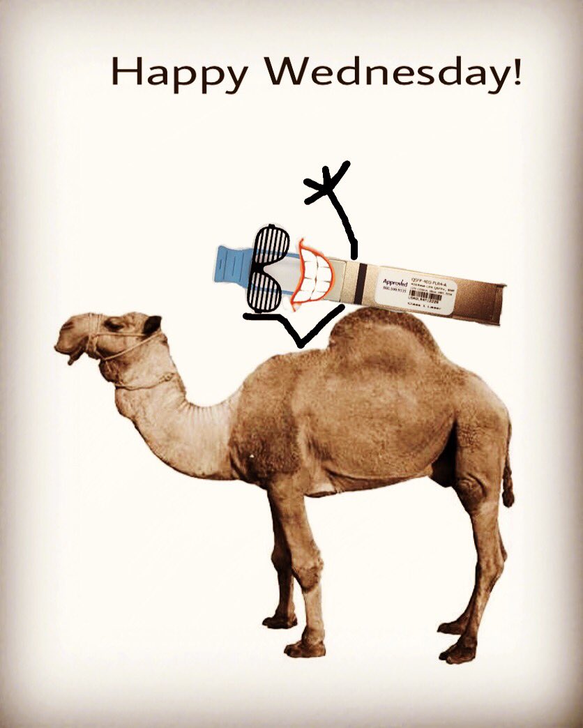 ApprovedLegrand's tweet photo. Happy Wednesday! #HumpDay #datacenter #datacenteroptics #bigdata #tech #telco #telcom #approvedoptics #forthesmartdatacenter https://t.co/wC1zjvSuk8