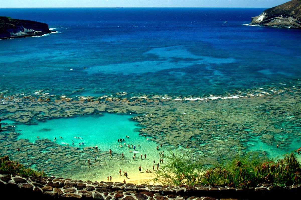 ArgBarcelo's tweet image. Bahía de Hanauma, #Hawaii