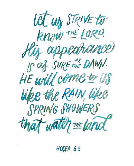 Miranda Hundley (@miranda_hundley) on Twitter photo 