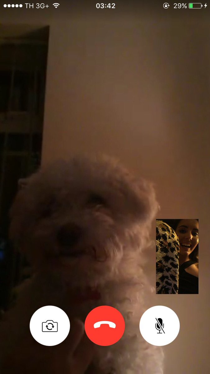 siononboyle's tweet photo. Missin my lil baby lots n lots 😔😢❤️🐶 https://t.co/WFlxmPl3Mc