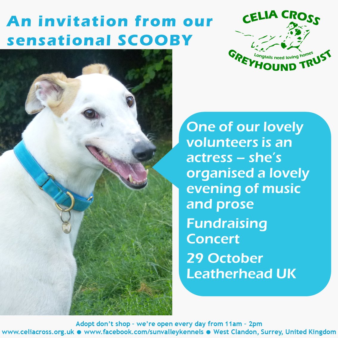 SCOOBY says please come to our fabulous fundraising concert this Saturday 29 October 
#woofwoofwednesday
Details -> celiacross.co.uk/_p/nws14/4E672…