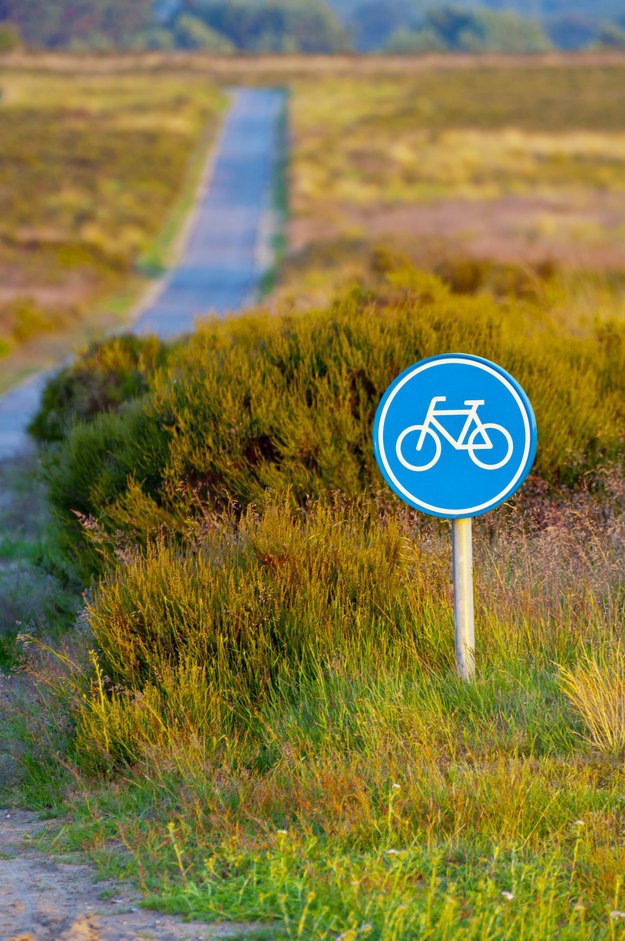 Cycle for Sight tweet media