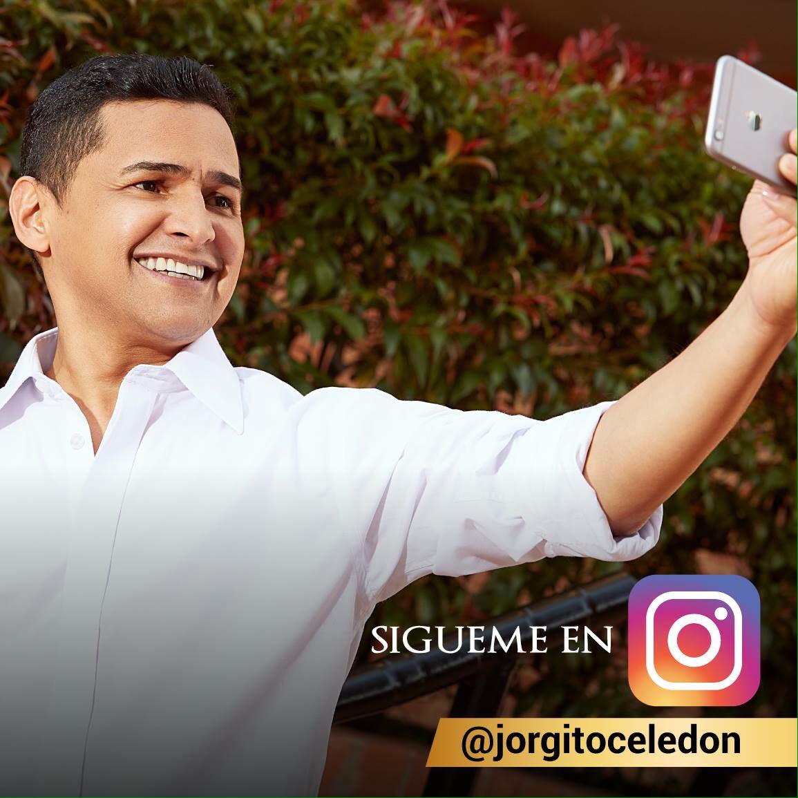 Jorgitoceledon's tweet photo. Los espero en mi cuenta de instagram. Más espacios para estar conectados. https://t.co/WAmG8jzNYl