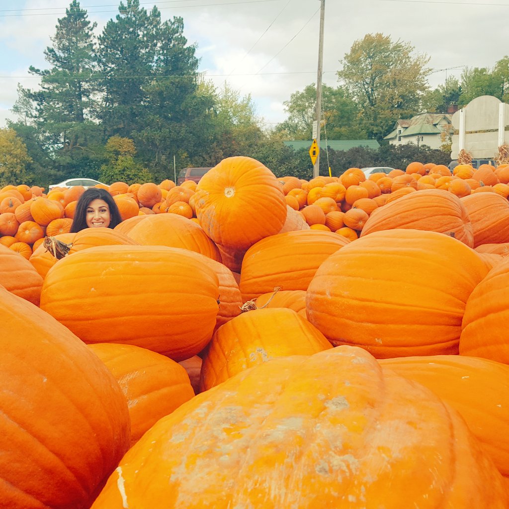 gghamari's tweet photo. Couldn't resist sharing this photo taken at @abbyhillfarms. Their 🍎 🍎 are also delicious! #NationalPumpkinDay 🎃  #buylocal #Ottawa #Carleton https://t.co/k2MoXjEvva
