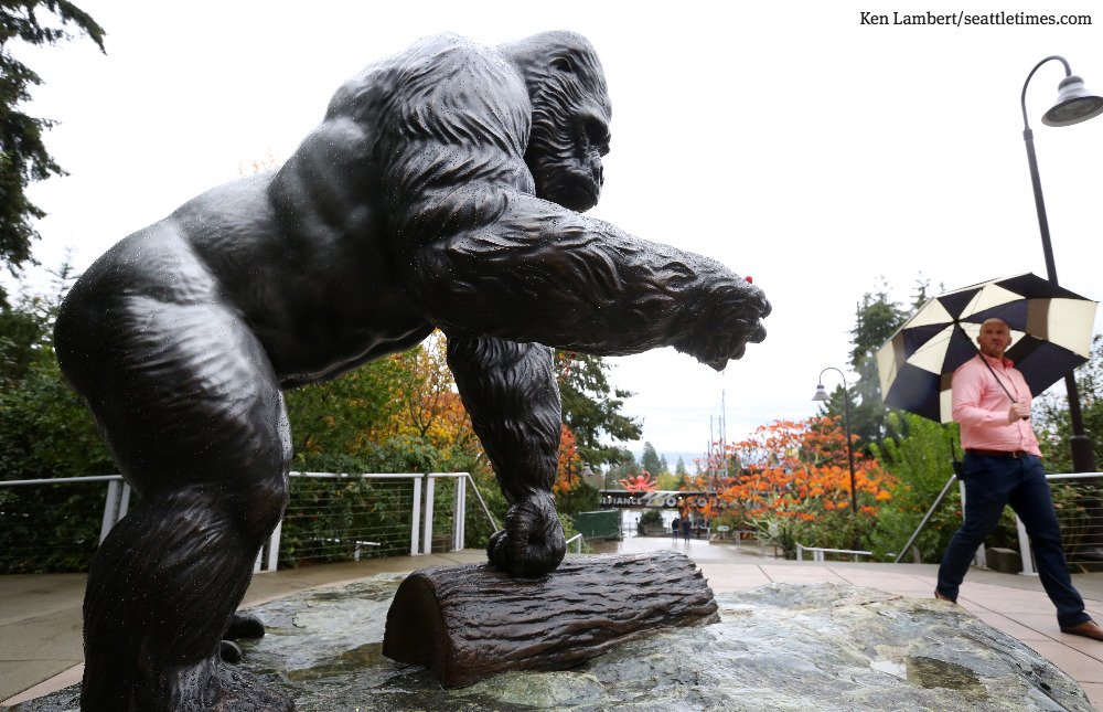 Ken Lambert tweet media