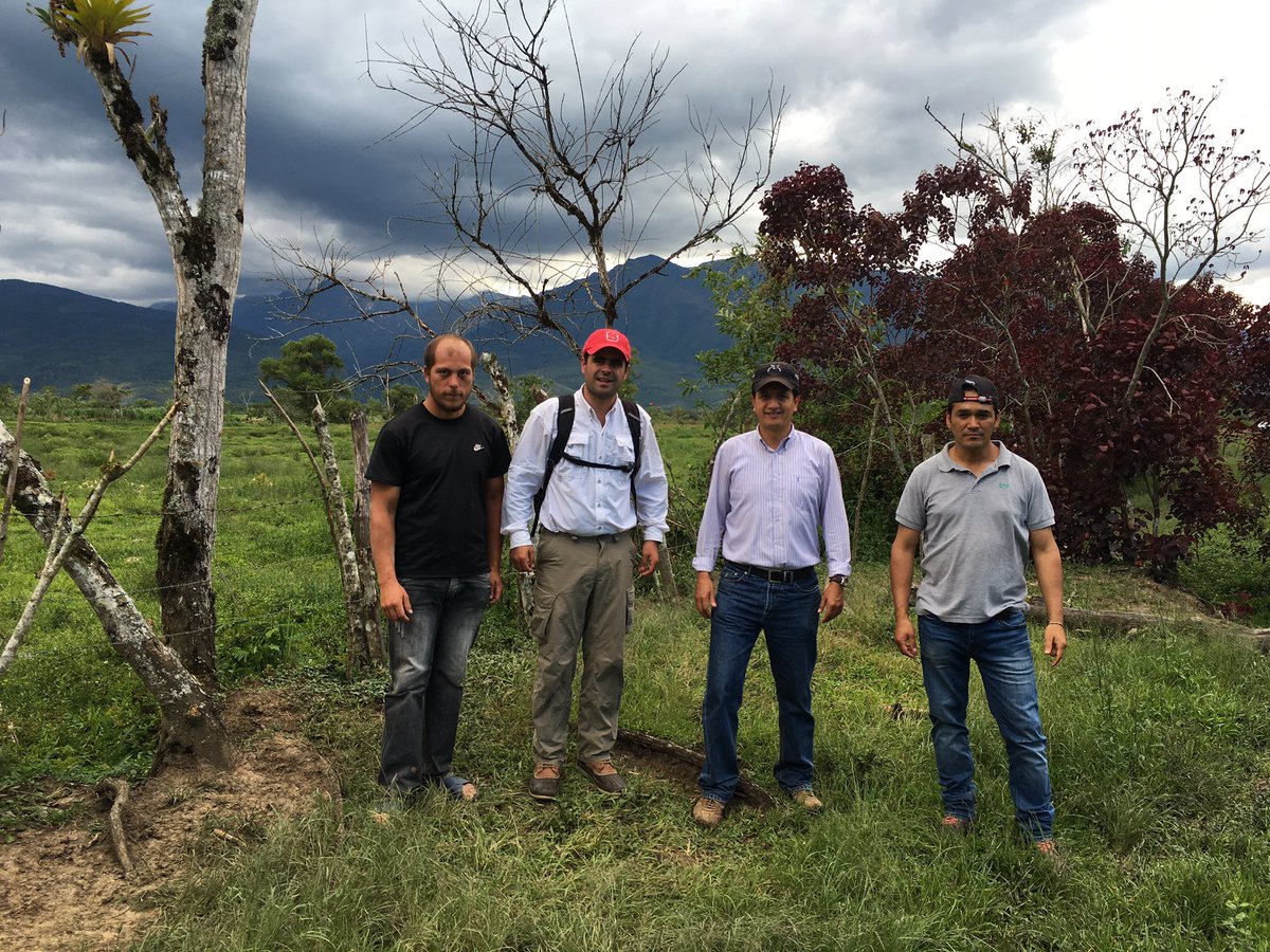 miguelscastillo's tweet photo. Studying silvopastures in the Amazonas @ncce_news @ncsare @CropAndSoil @NCStateCALS https://t.co/3t3fLec1Jg