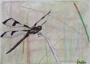 NAP_Connection's tweet image. Have the spirit of #Dragonfly Artist @TumbaoArts has captured that moment in new collection
mvnt.us/m297303