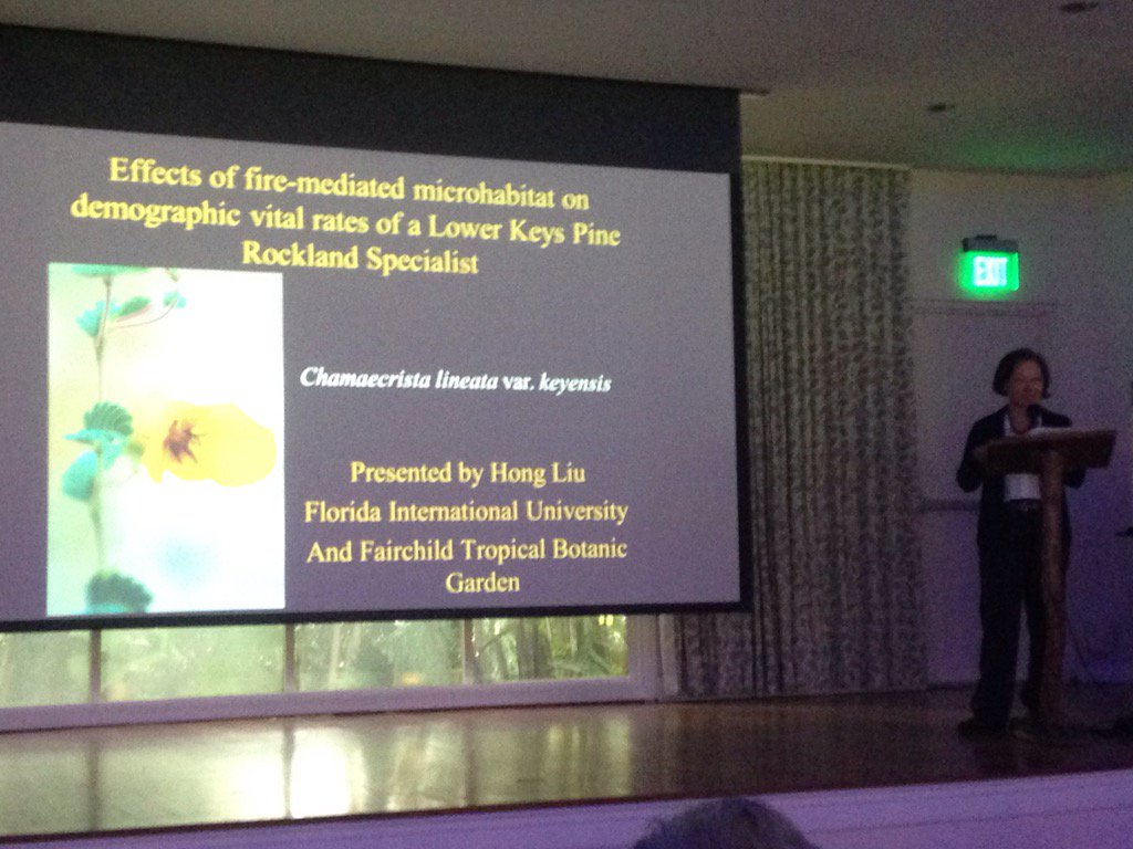 SuzySenna's tweet photo. Hong LIU returning to her rare plant roots at the International tropical plant & pine rockland symposium #FIU #ICTB https://t.co/m1xVx2HDN1