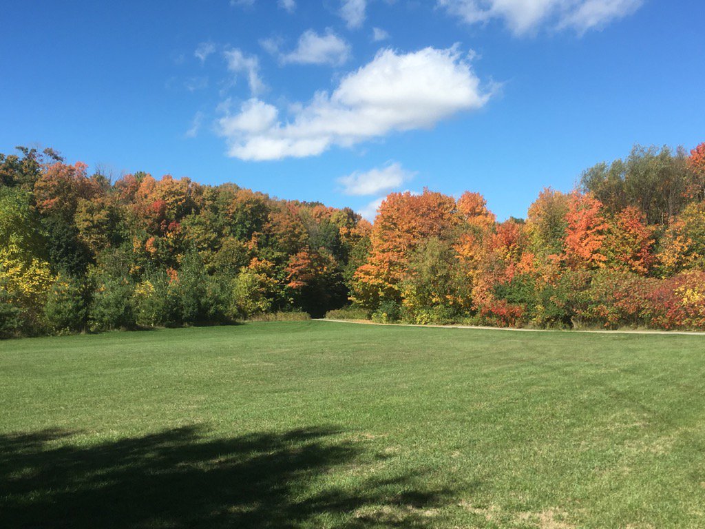 Mensana88's tweet image. #fallTO