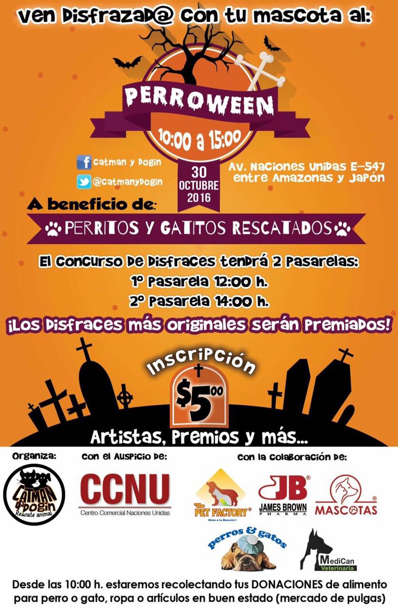 danielmontalvoc's tweet photo. Para todos los amantes de nuestros hermanos peludos... #perroween organizado por @catmanydogin #petfriendly #doglovers https://t.co/iMJeuPn5mr
