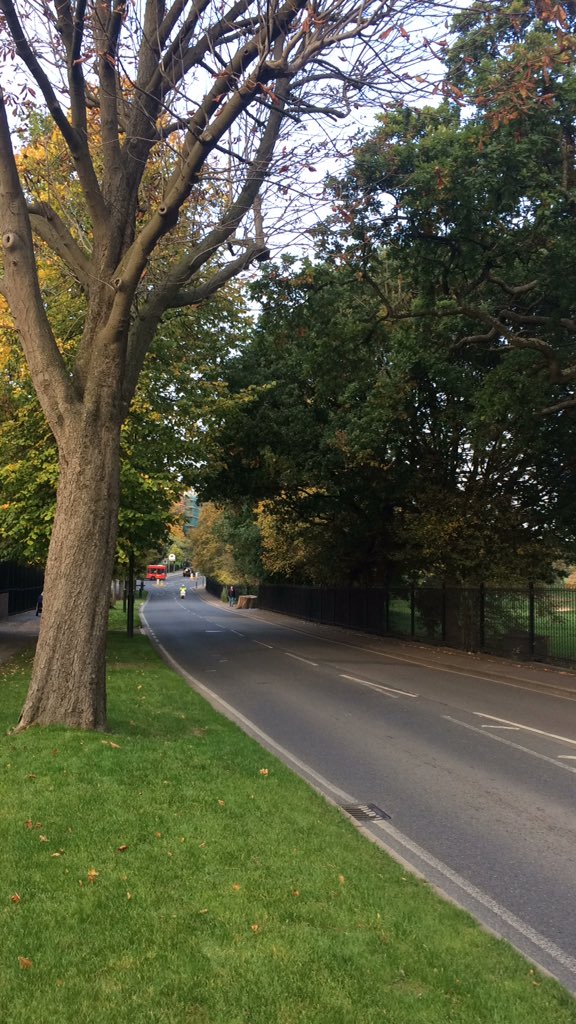 acmswilliams's tweet photo. Smells like #autumn https://t.co/ExCZeUCZAL