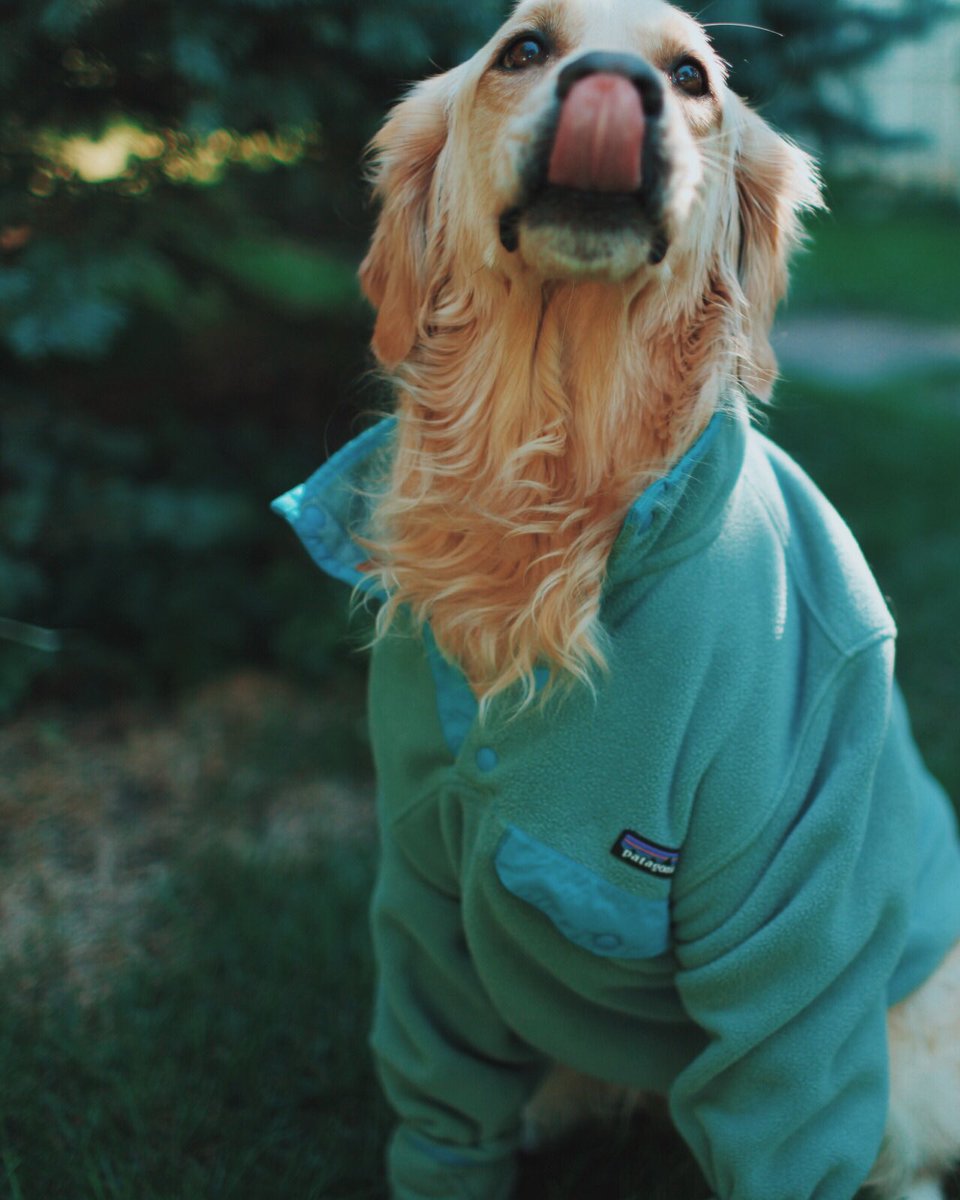 Preppy Lifestyle tweet media