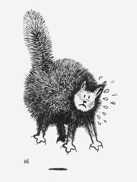 Esaholle's tweet photo. #Inktober &amp; Day 26 #sketch #illustration #intober2016 #cats https://t.co/kbCL7TnWCB