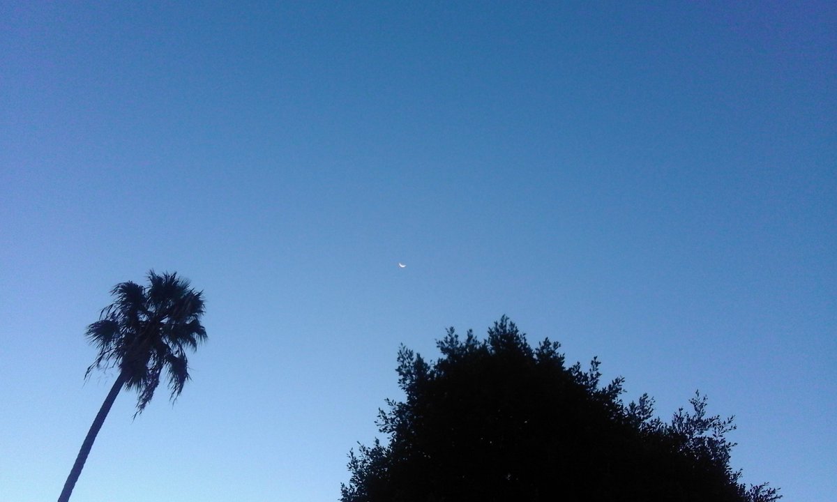 MariaQuintana15's tweet photo. Cuando el cielo evolusiona a lo largo del dia de una forma maravillosa... y acabas enamorada de él 😱😍 https://t.co/66hiGDKM6z