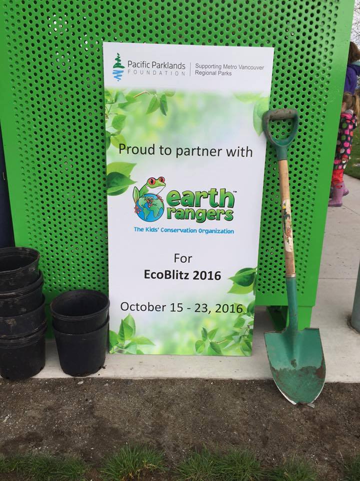 PacificParkland's tweet image. Thank you to the @EarthRangers for helping out with EcoBlitz 2016! Over 350 plants, shrubs and trees were planted! #environment #parks