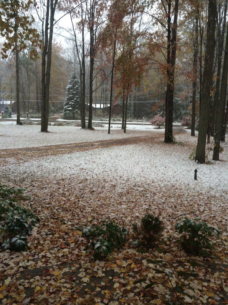 lost_SnipZz's tweet photo. @KFlum it's snowing in Michigan right now fam https://t.co/FbMgcz6QKO