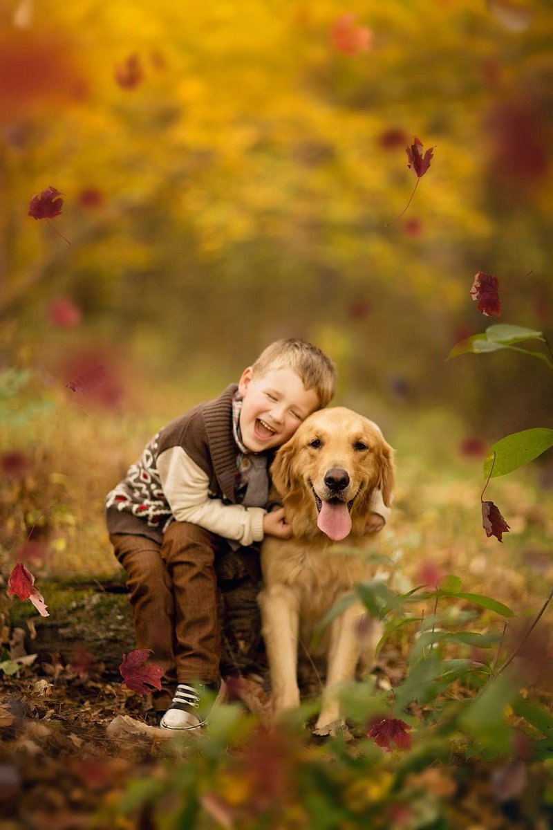 #fall #goldenretriever  <a href="/GoldenRetriever/">Golden Retrievers</a>  <a href="/TheEllenShow/">The Ellen Show</a>