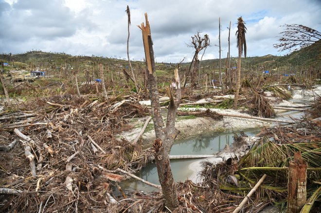 foodandwine's tweet photo. Millions of Haitians in Need of Food Assistance Following Hurricane Matthew https://t.co/Sd650GFlSw https://t.co/U6z4hSAsji