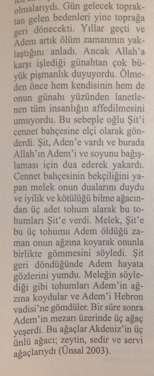 Cennetten çıkan ZEYTİNin öyküsü
BİTKİ MİTOSLARI
D.Gezgin
<a href="/selyayincilik/">Sel Yayıncılık</a>