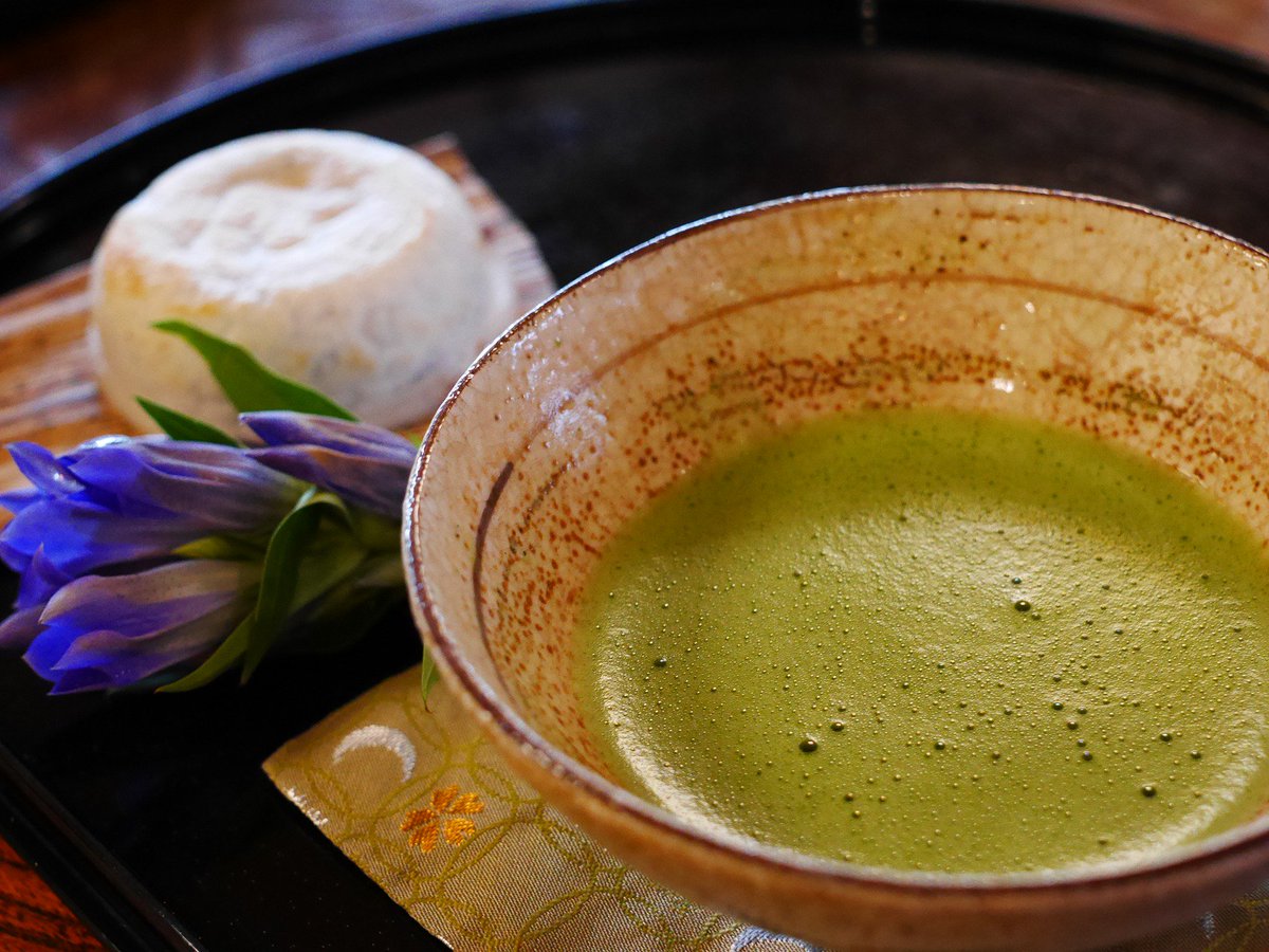 Ever wonder When is the Best Time to Drink Matcha Green Tea?
ow.ly/1LzM305wIh6