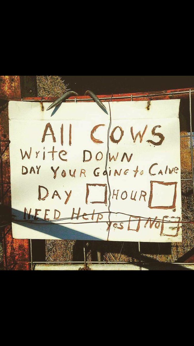 Confessionsfarm's tweet photo. This would be handy #Ifonly https://t.co/if24c5FkZL