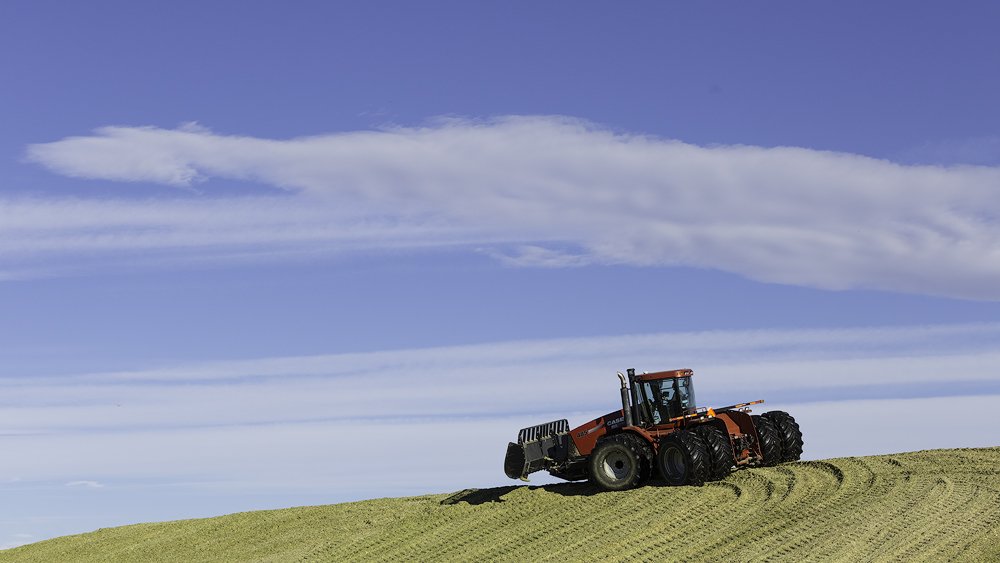 Kasko Cattle Co. tweet media