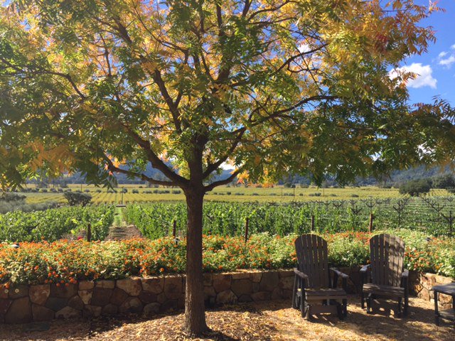 This spot and these seats are saved for you!