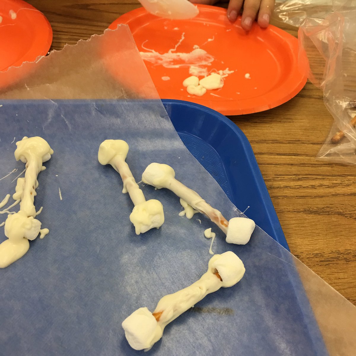 happylaura's tweet photo. Bone building today in class! Looking forward to seeing you Sat. @GGHS_Titans gym for #STEMcollier @SLESeahawks ππ https://t.co/quBY9cb4Ac