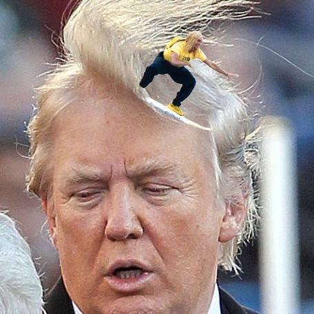anais_le_baron's tweet photo. il est là le secret de la "sublime" coiffure de #DonaldTrump ^^ @bricedenice @JeanDujardinOff https://t.co/IwMw6Ck4gr