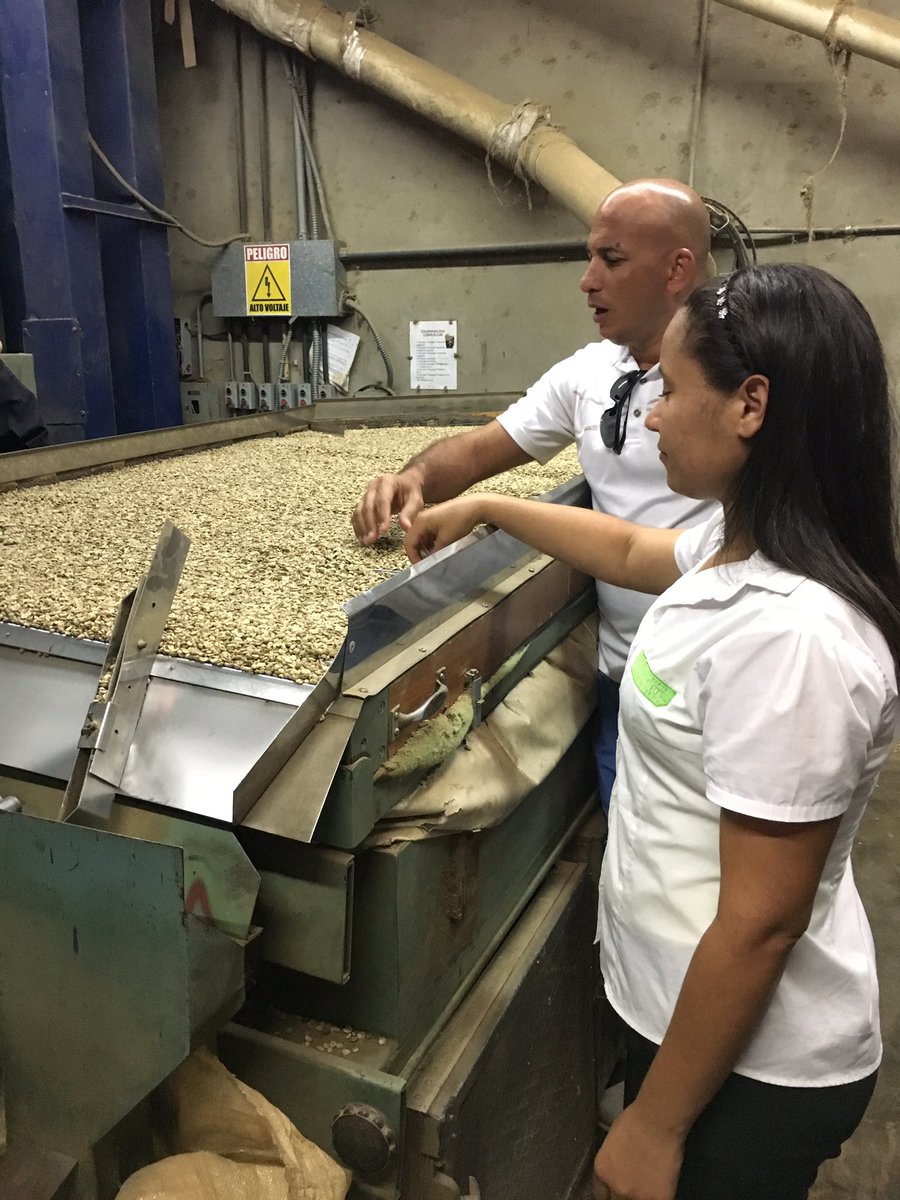 EagerTravele's tweet photo. How can you tell which coffee seeds are good ?? #naturallyDR @GoDomRep @DaveDTC #ramirezcoffee https://t.co/ySNk8QeFYZ