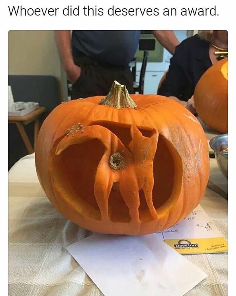 hot69tsmama's tweet image. Happy #NationalPumpkinDay my fellow #Twitterers #ShitzNGigglez (Pun Intended) 😿😹😿😹😿😹😿😿😿