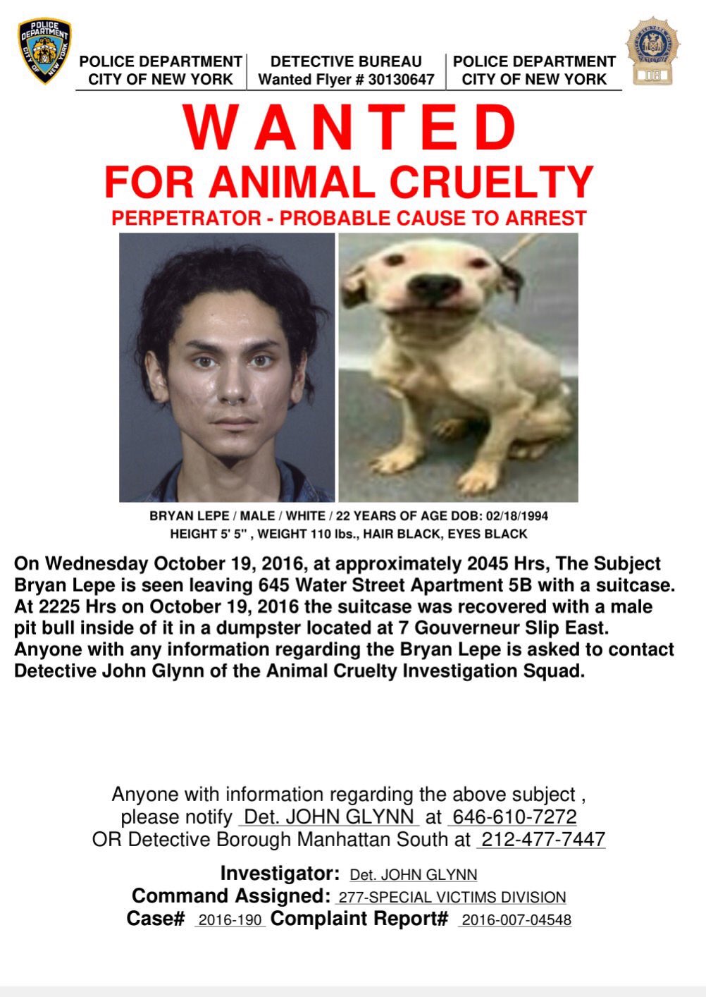 NYPDPaws on Twitter: NYPDPaws on Twitter: