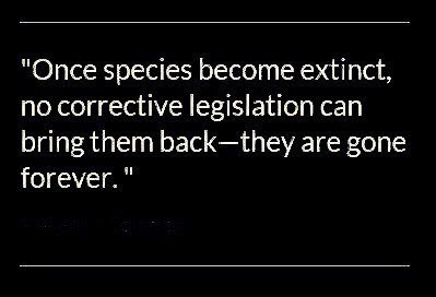 IvoryFreeOhio's tweet photo. @DirectorDanAshe Partial bans on Ivory dont work complete bans do .@DirectorDanAshe Look at #NJ vs NY! .@TheWCS blocked #ivoryfreeohio bill. Hypocrites! https://t.co/J45EFZ8sbX