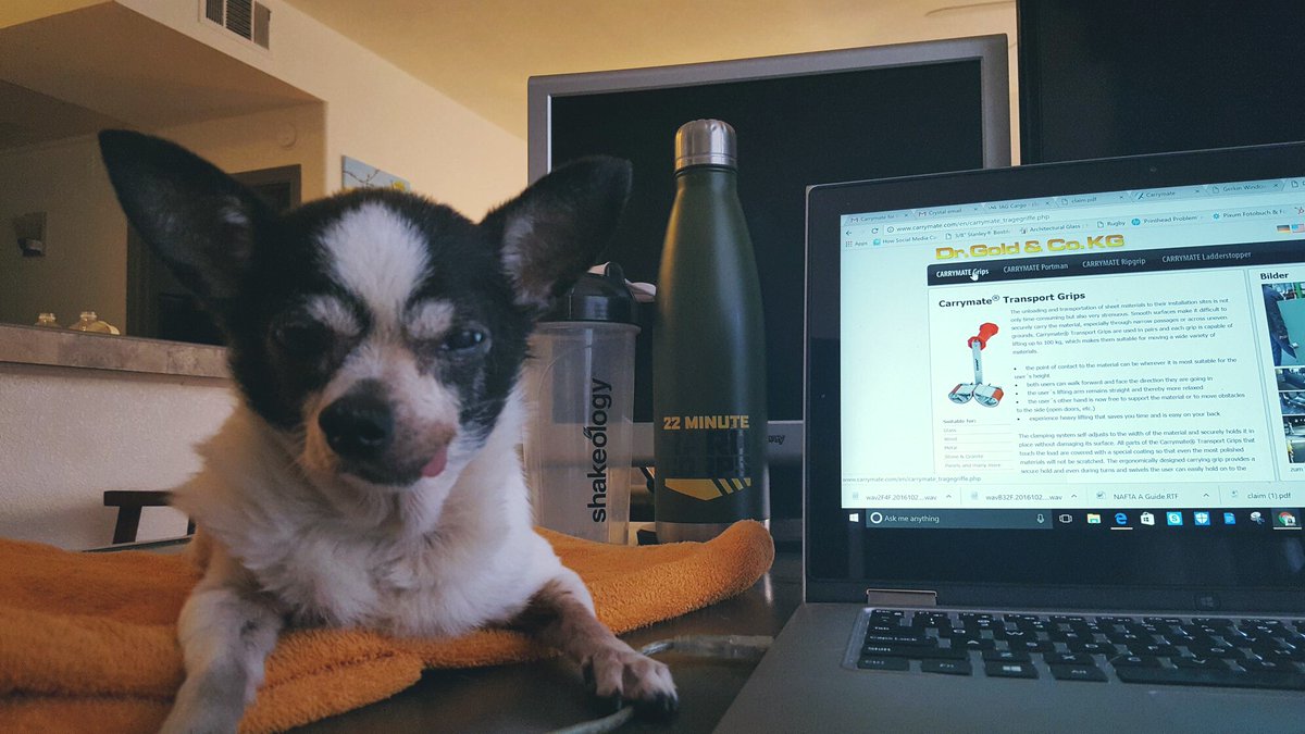 carrymate's tweet photo. Our Supervisor at work today! #liftwithcarrymate #glassbuild #thisishumberto #dogday https://t.co/hEuSfI2YVb