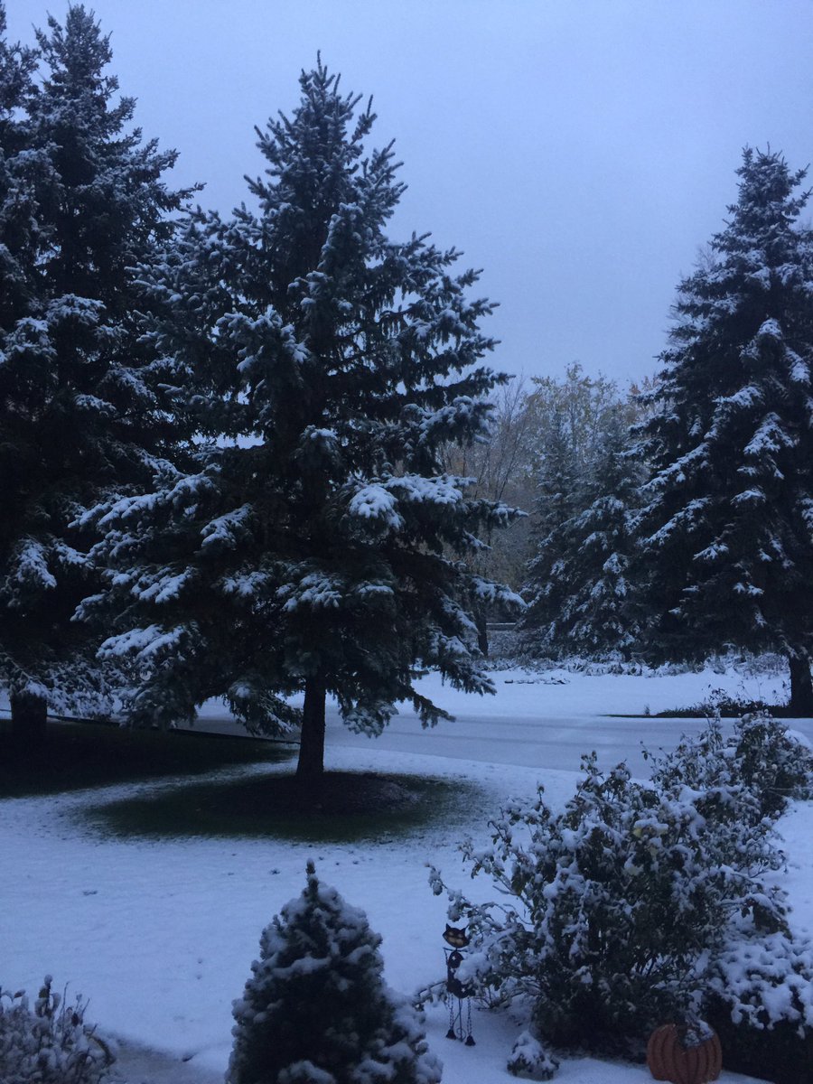 Lance_Ferden's tweet photo. It's snowing on #NationalPumpkinDay! https://t.co/SURsdBahRq