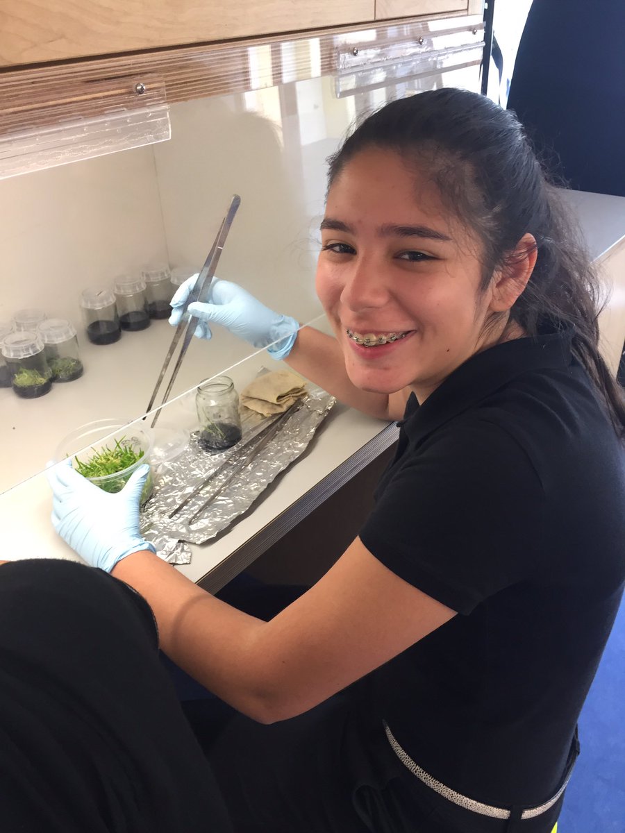 Ana Casanova tweet media