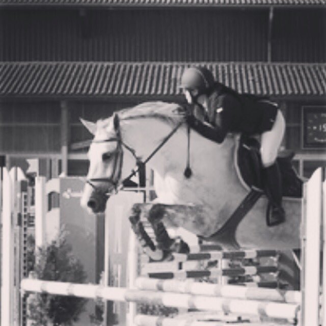 aacm93's tweet photo. I love to horse around before class #horsingaround #swissshowjumper #corlenskahf #tbt 🦄🦄 https://t.co/oeXUr6gk5a