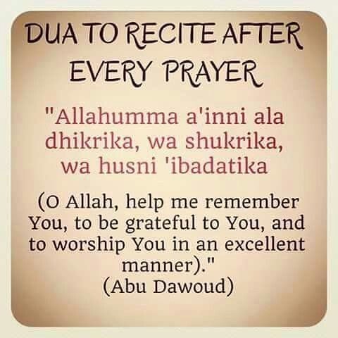 MohammadSaadiah's tweet photo. https://t.co/pOgGzgkr9P