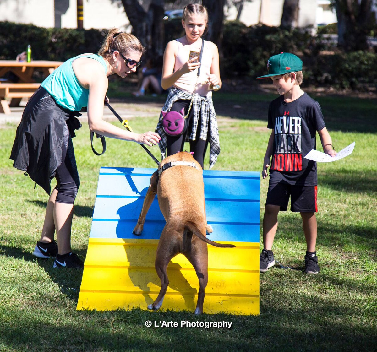 ConsciousK9's tweet photo. A good time was had by all at National Pit Bull Awareness Day. https://t.co/MxFz7pOQUd