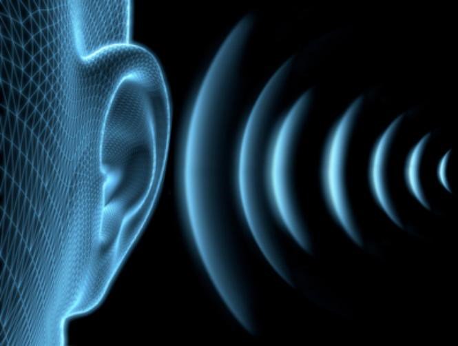 InfoPyra's tweet image. Start your day with #music now, hear sound of natural things. Develop a positive culture with music.
shreepyraconsultancy.com