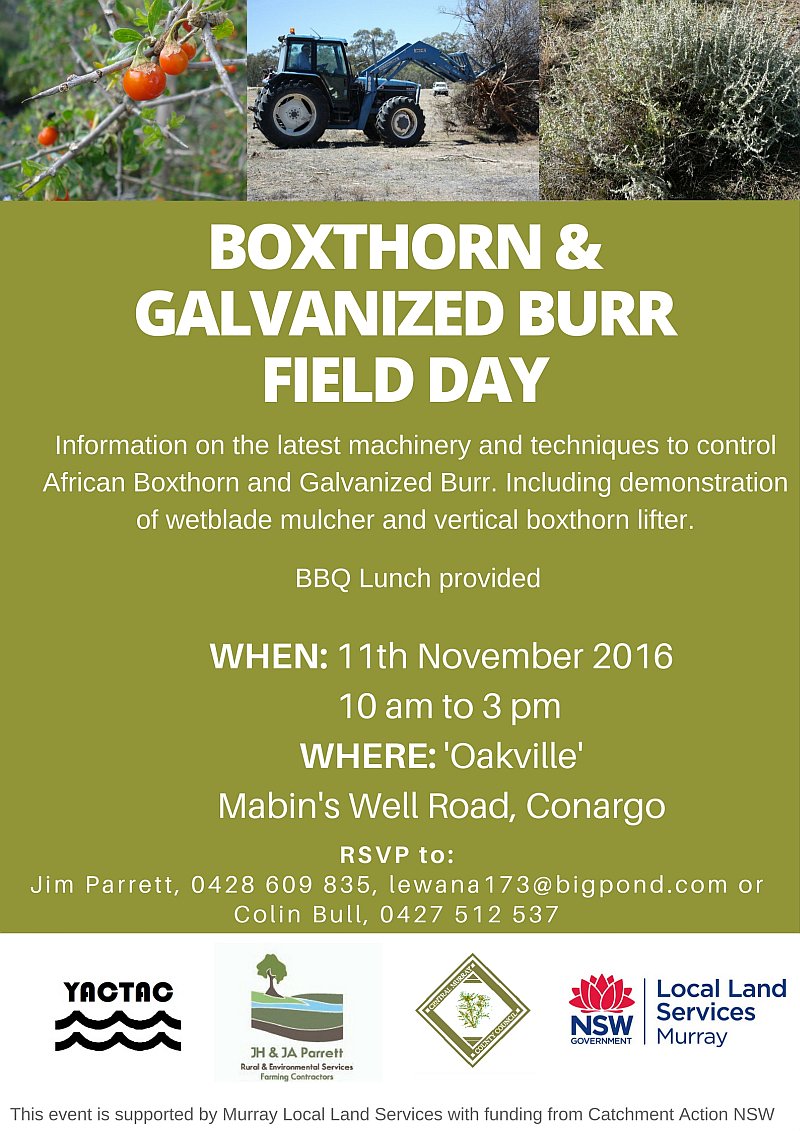 ErikaHeffer's tweet photo. #Boxthorn &amp; #GalvanizedBurr Field day Fri 11 Nov at #Conargo #landcare #ausag @nswdpi @Murray_LLS @edwina_hayes @RiceExtension @ricegrowers https://t.co/NOxtY07b5K