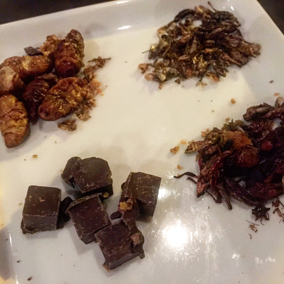 DigitalLA's tweet photo. 🐜🕷🍴It's a #Bugs life! Chocolate #crickets #mealworms Pre #Halloween #Bug Dinner at #entomophagy #BugDinner @Bugible #EatBugs @vwineroom https://t.co/qAmdVstsBd