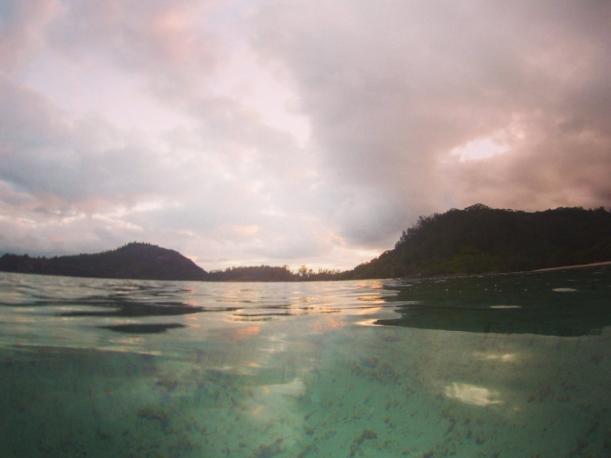 What an amazing week in the #Seychelles with <a href="/rooi_rose/">rooi rose</a>,  <a href="/Leefstyl24/">Leefstyl</a> &amp; <a href="/TimesLIVE/">Times LIVE</a>